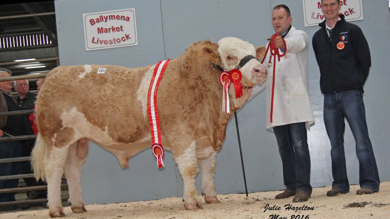 Male and supreme overall champion was Ranfurly Fendt sold for £2,835. Jonny Hazelton is pictured with judge Paul McDonald, Tempo.