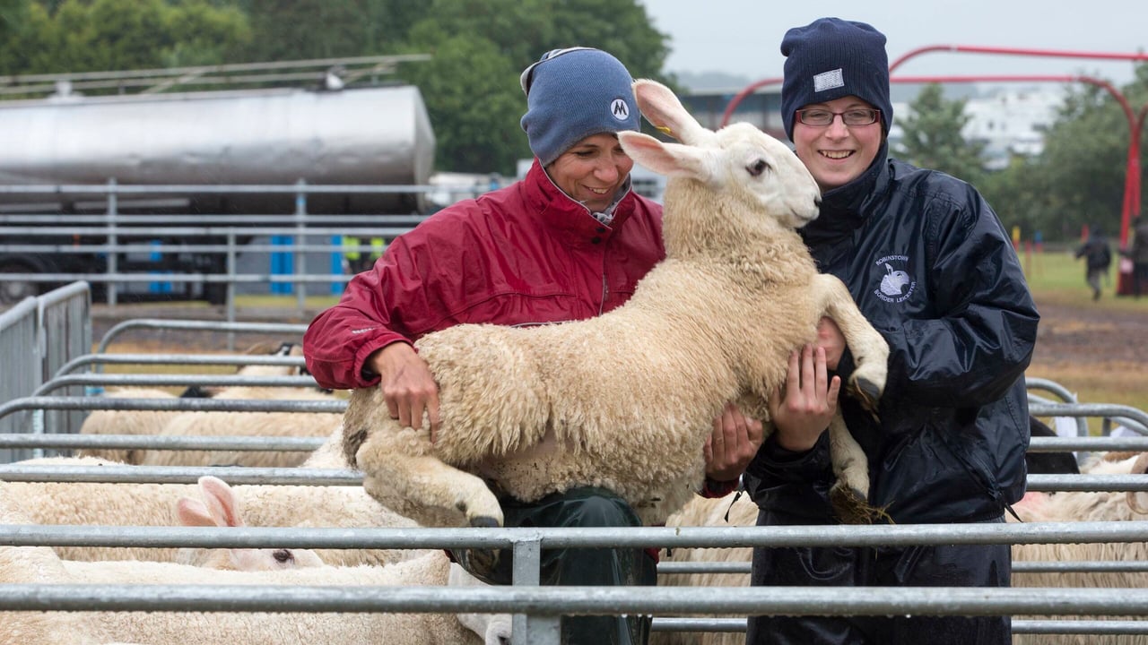 Pics: Cork Summer Show 2016 goes off 'without a hitch' (Despite the rain!)