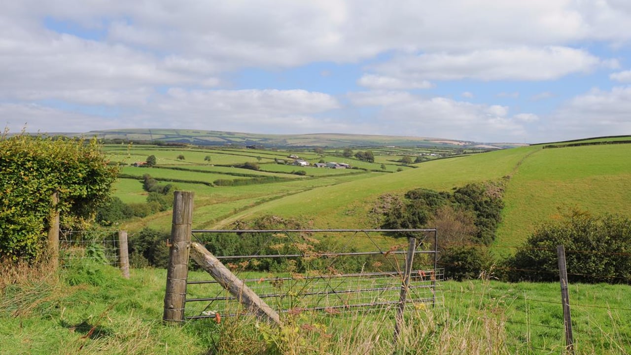 DAFM: Almost 9,900 farmers received ACRES 'overpayment'