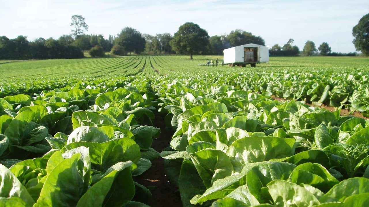Half of WRC inspections in agri sector encountered employment law breaches