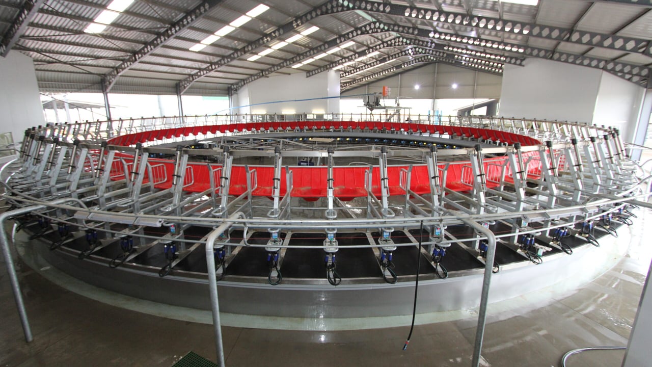New Zealand company launch rotary dairy platform in Ireland and the UK
