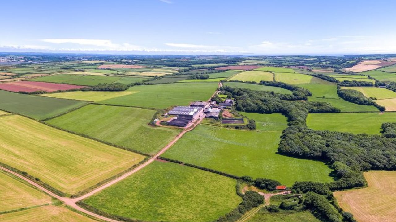 Image: Savills