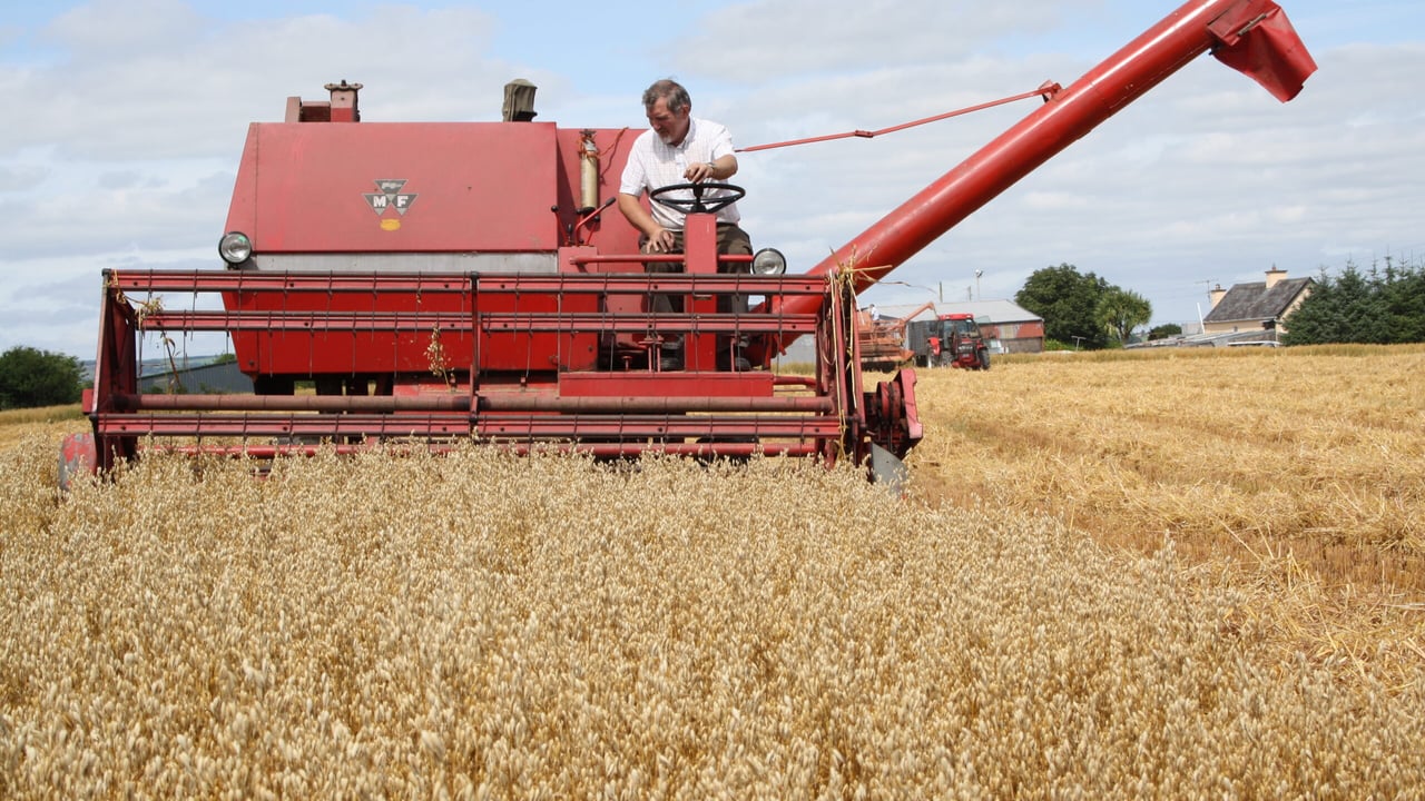 Mick Forde putting a Massey Ferguson combine to work