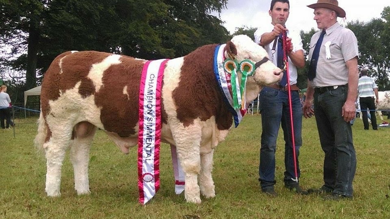 Nigel Hogan and Peter O'Connell at last year's Tullow Show