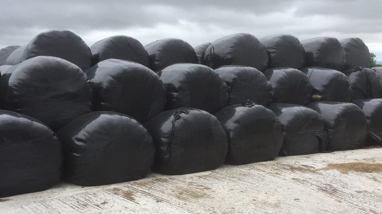 TD expects 'at least 70,000' farmers need fodder support