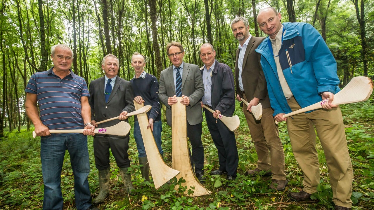 John Jordan, Prof Gerry Boyle, Rioch Fox, Pat Daly, Noel Culleton, Ger Shortle and Seamus Dunne.
