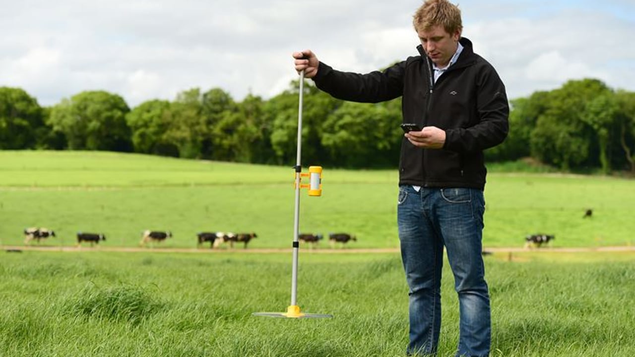 New grasshopper wins big at the National Dairy Show