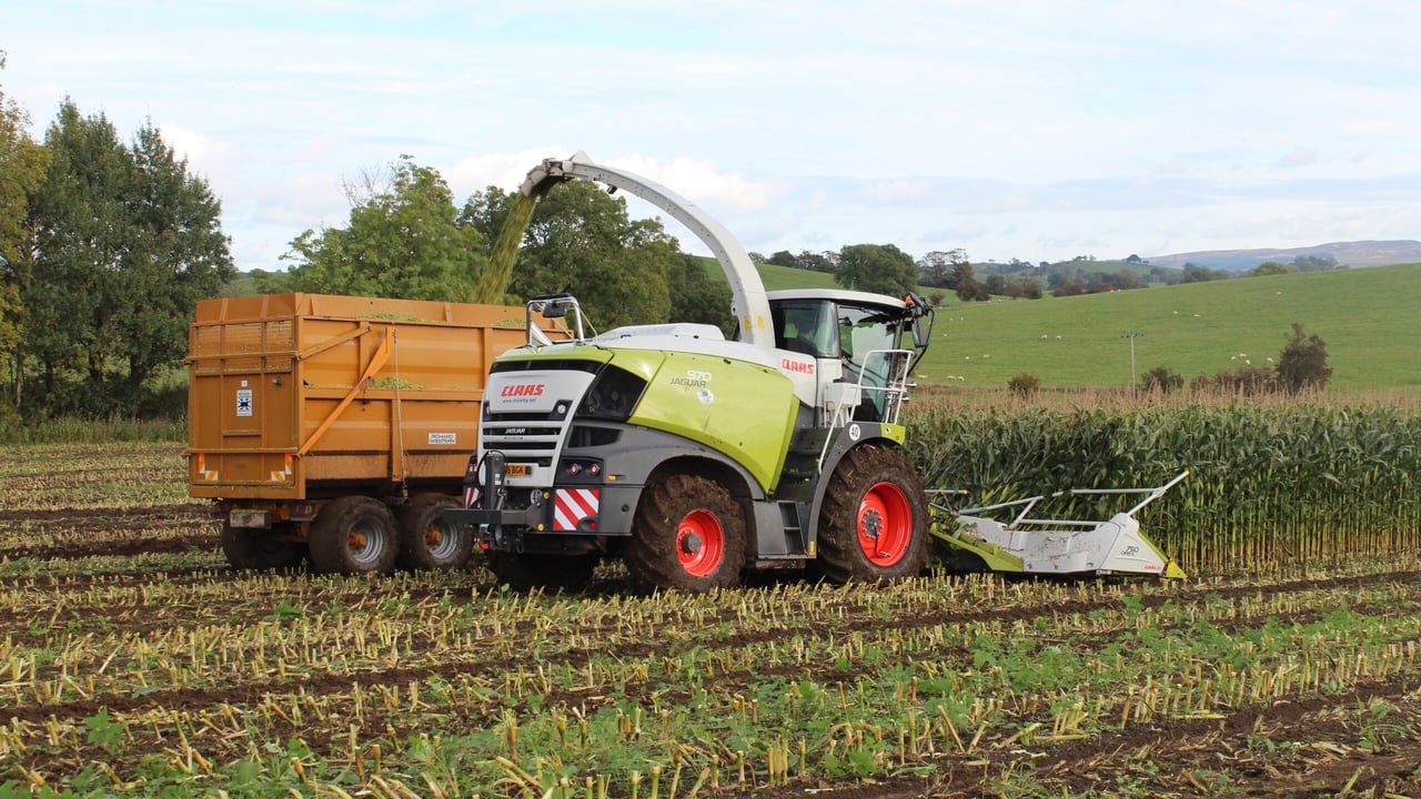 Five key features of the new Claas Jaguar forage harvester