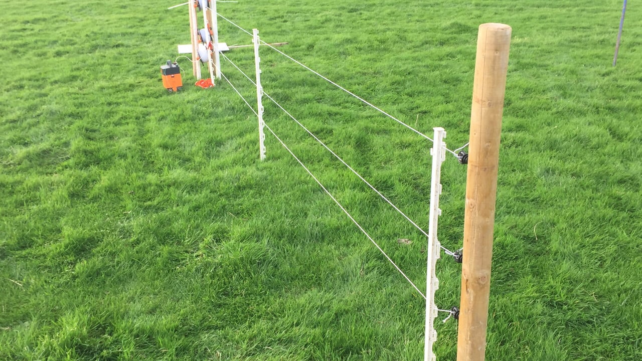 Pics: Cost-effective temporary sheep fencing options on show