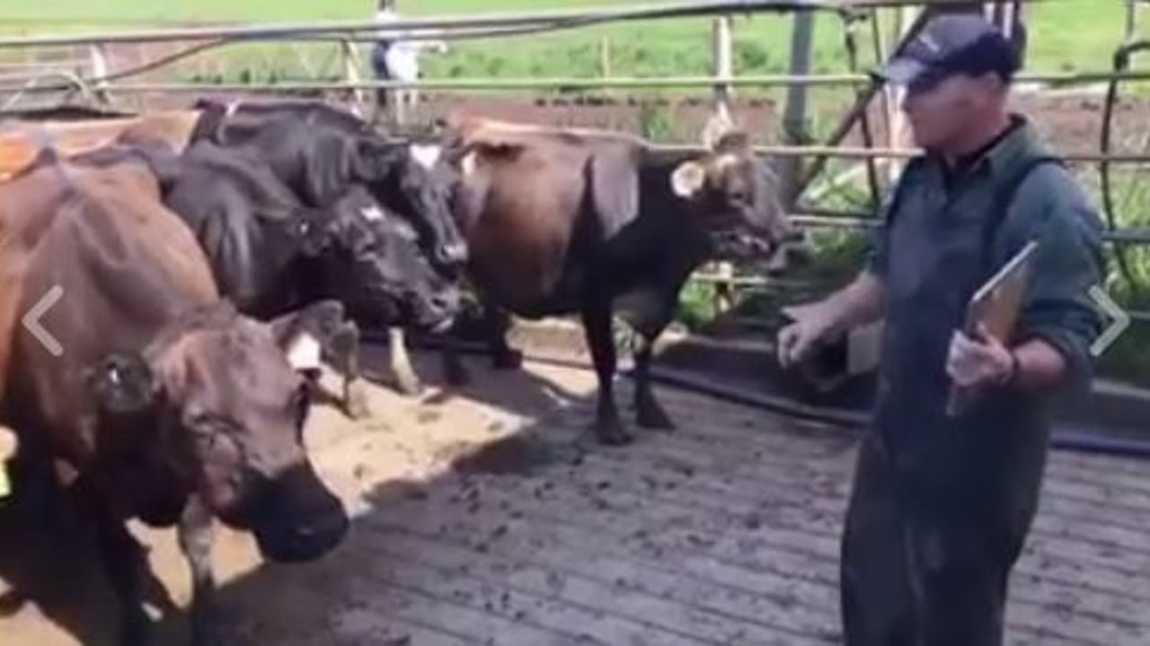 Image: NZ Farming (Facebook)