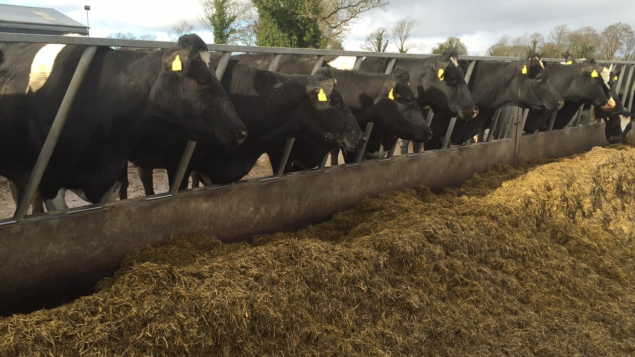 Can farmers reduce enteric methane through the cow's diet?