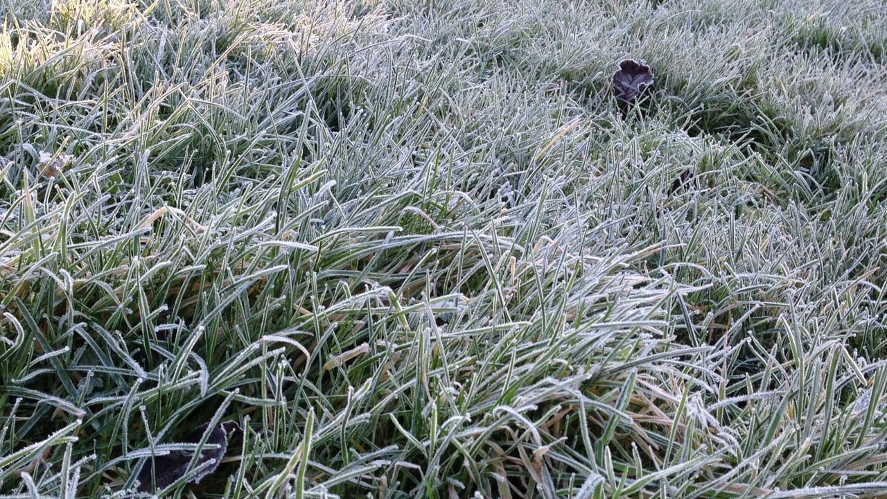Weather to turn cold with frost and ice this week