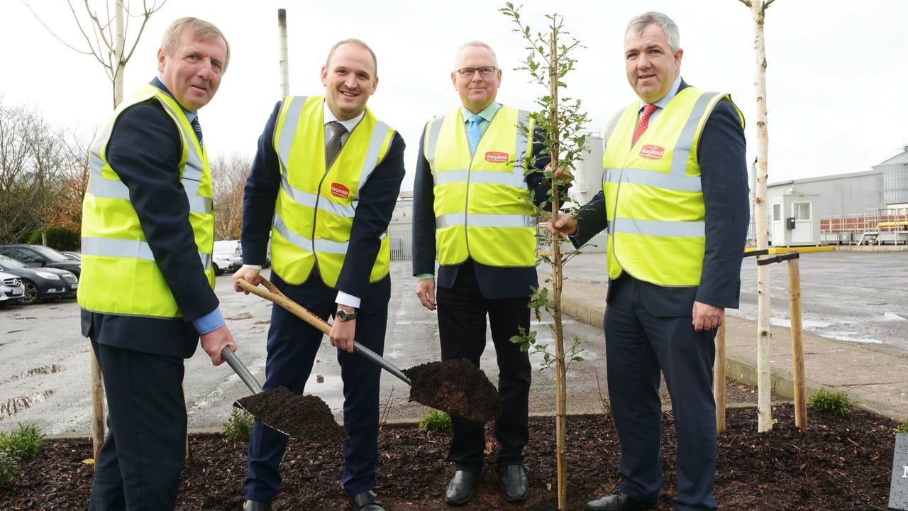 Cork site to become an 'international centre of excellence for cheese production'