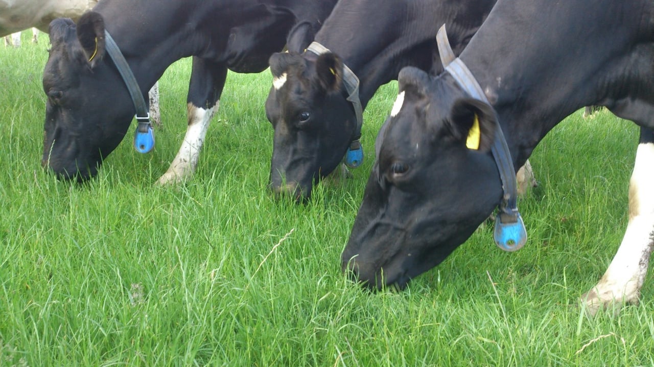 Cost-saving target exceeded by 74% as Smart Farming makes promising start