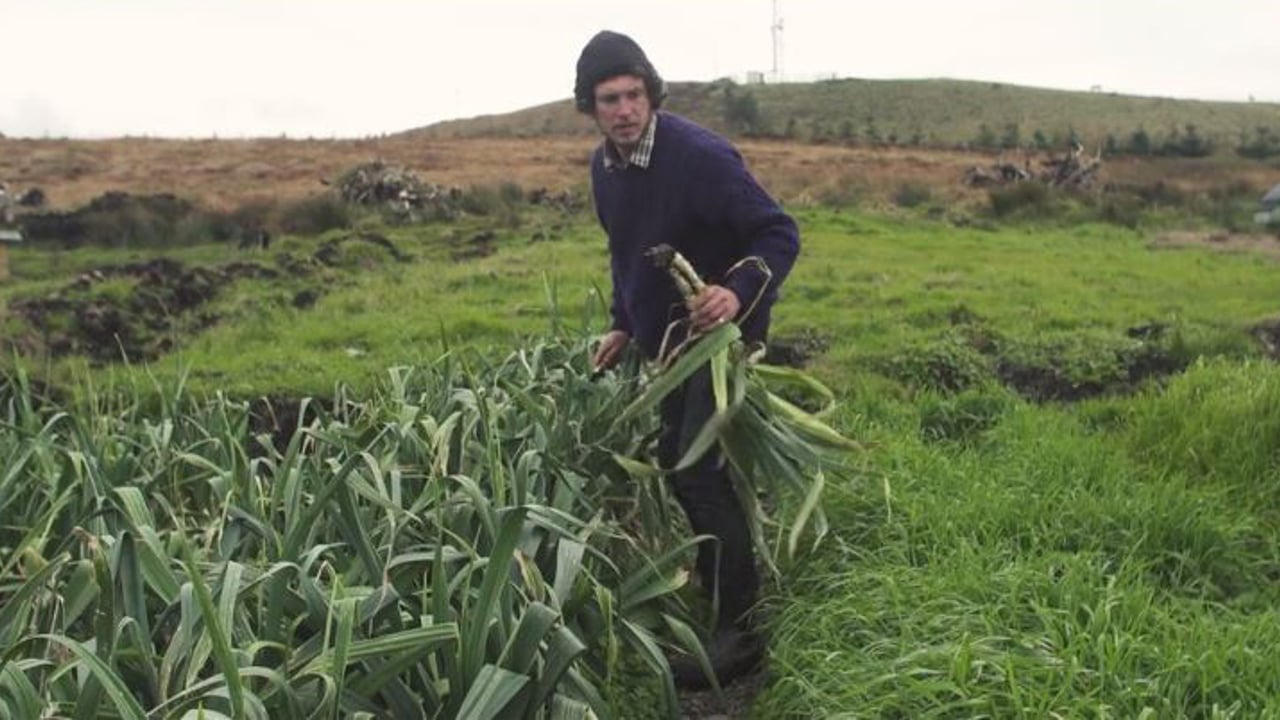 Irish surfer turned organic farmer Fergal Smith