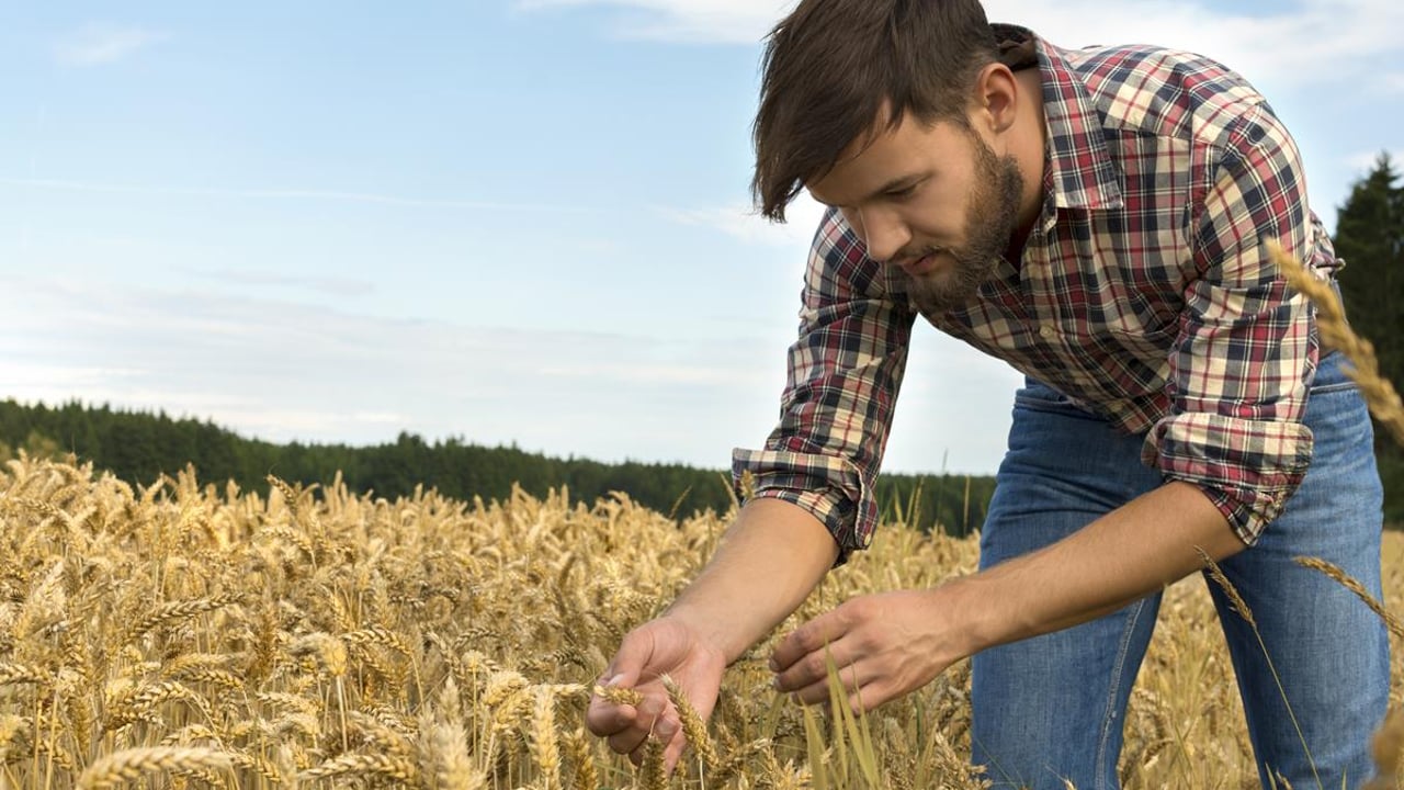Government policy 'has to ensure level playing field' for local tillage farmers