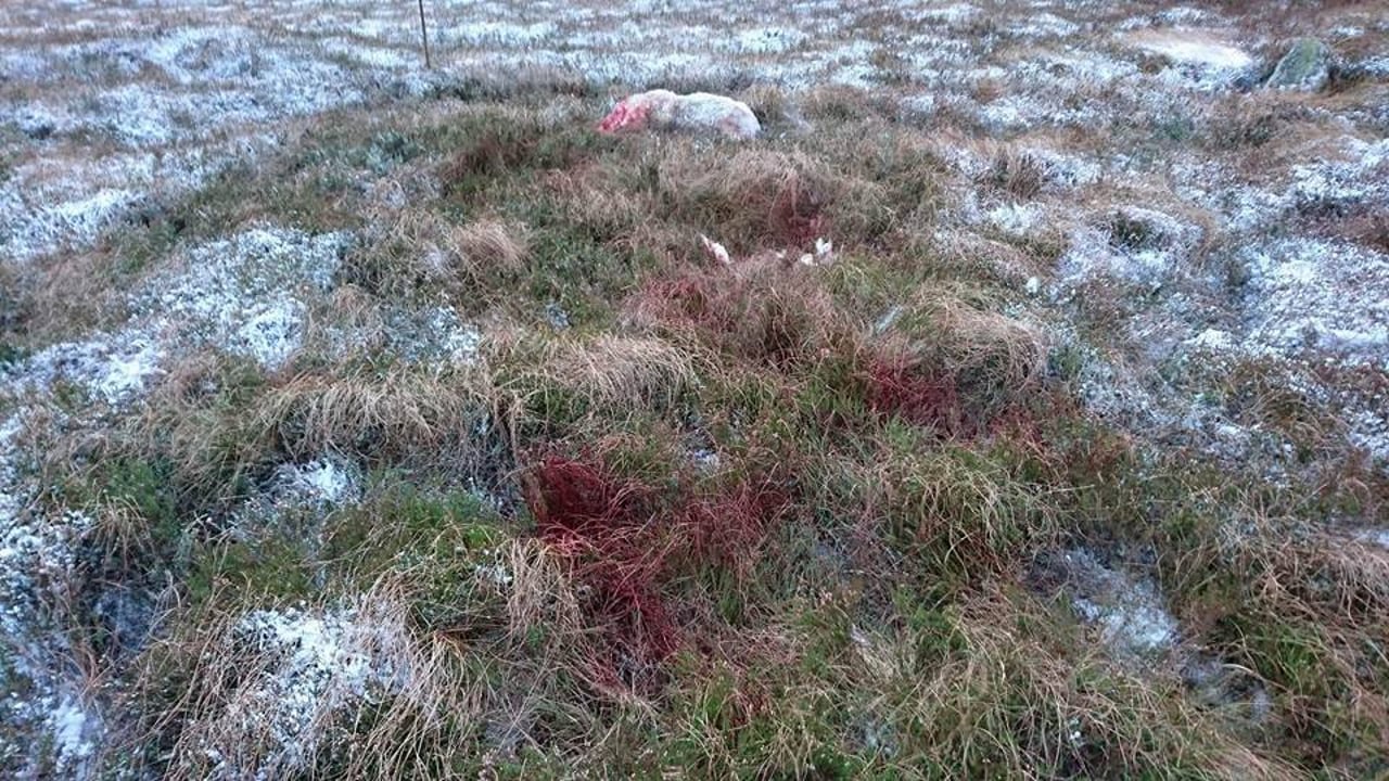 Source: Wicklow Uplands Council