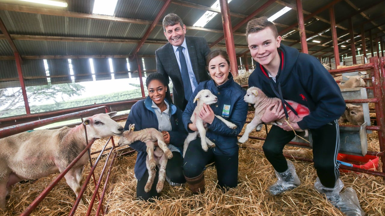 3,000 students take part in Agri Aware’s Farm Walk and Talk series