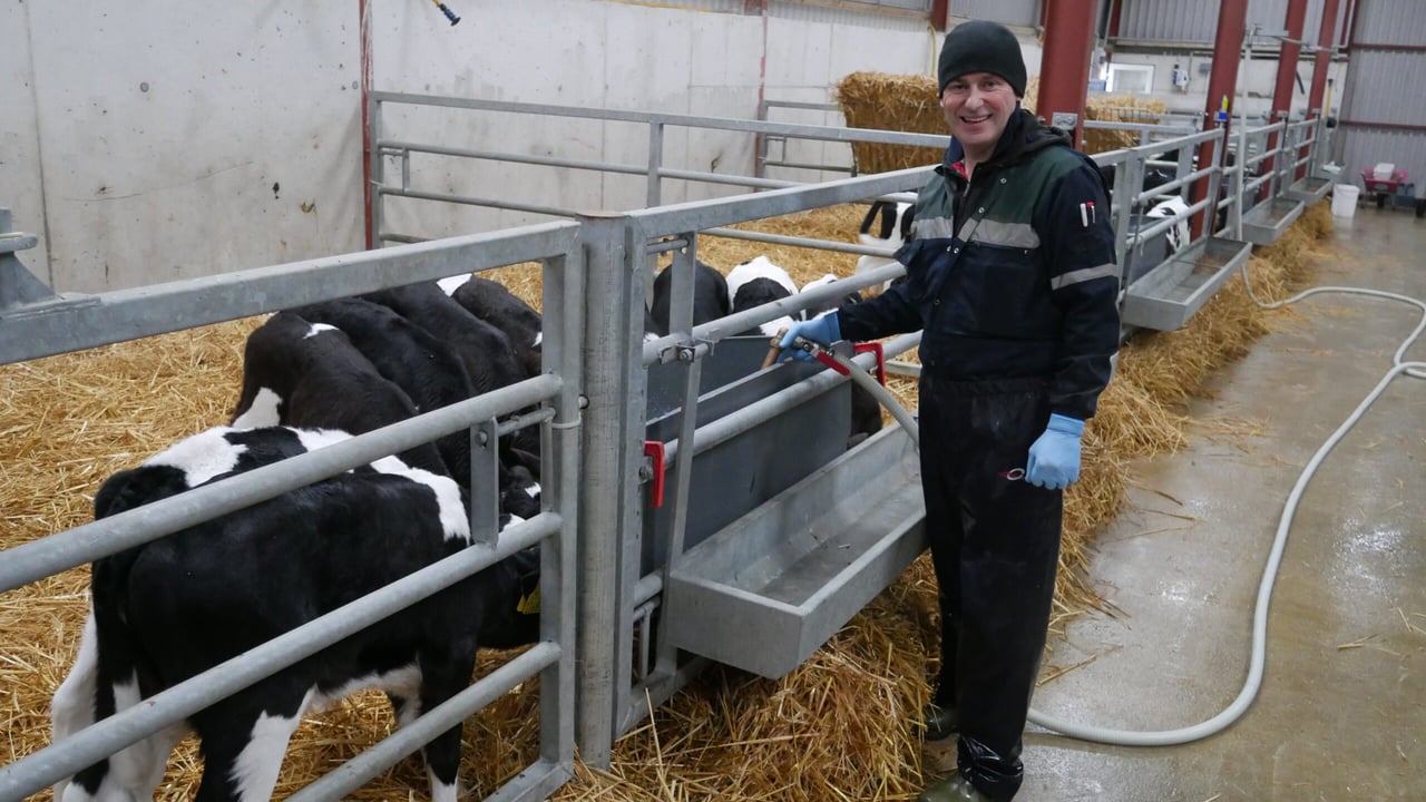 Donal Maher feeding calves on his farm in Co. Tipperary