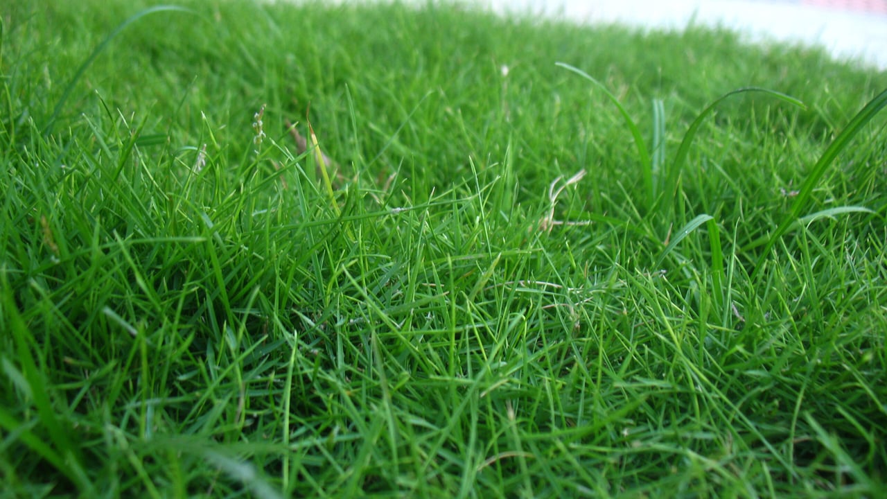 Soil moisture deficits set to increase as dry weather returns