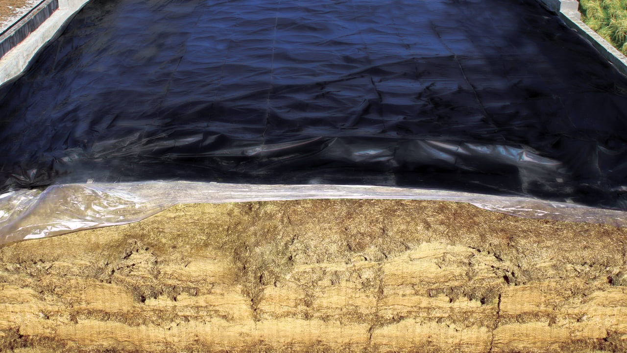 Seven-layer silage sheets: Just how far must you go for your silage?