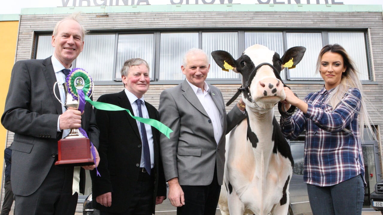 Record number of entries for 'first dairy show of the year'
