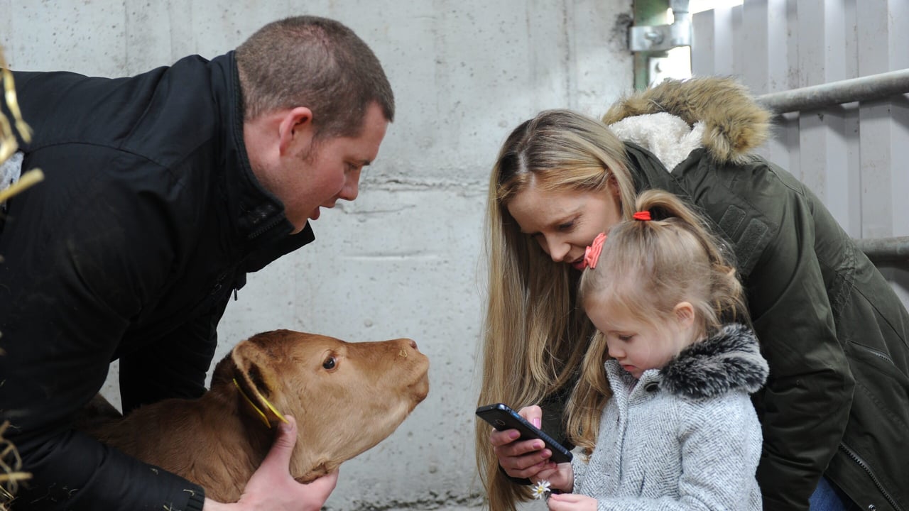 Getting top marks in the Bord Bia audit