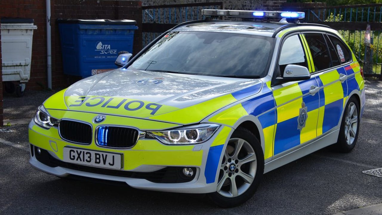 Sheep 'butchered' in field prompts police probe