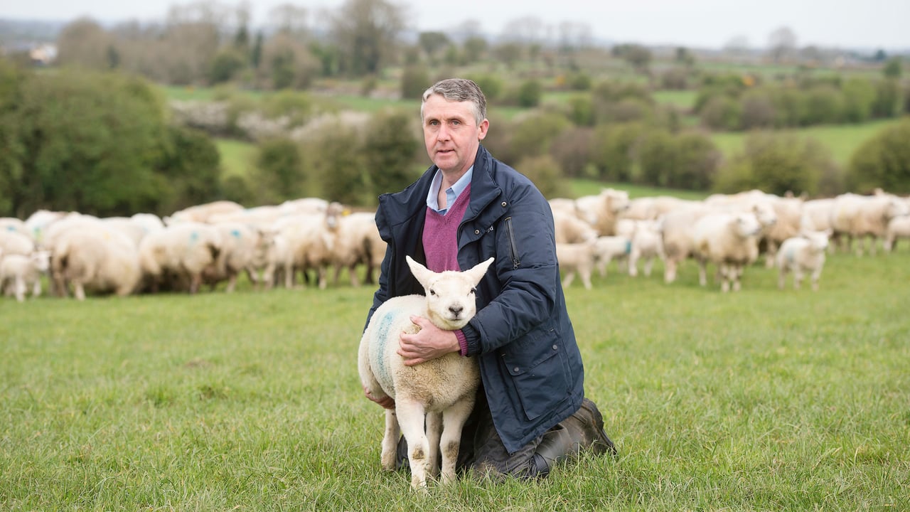 Farmer Anthony Moran from Mount Talbot in Co. Roscommon