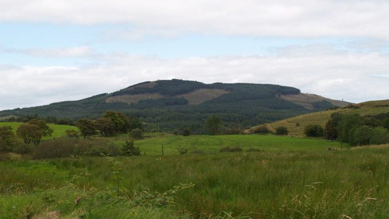 Fresh probe into Silvermines cattle poisoning saga
