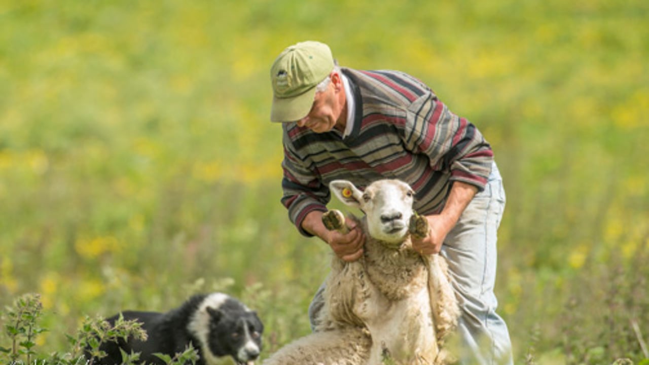 Image: Michael Finn, IPPA Wildlife Photographer of the Year