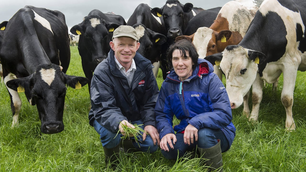 Dairygold annual Milk Quality Awards winner announced