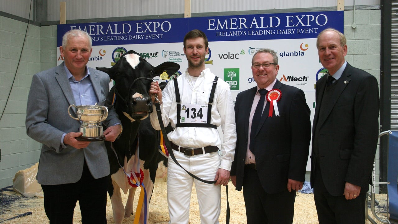 Winner of the Glanbia Senior Cow Championship was Brendan Greenan (Monaghan) receiving his cup from Henry Corbally (Chairman Glanbia) and judge Mark Lorgan and Charlie Gallagher (CE-IHFA)