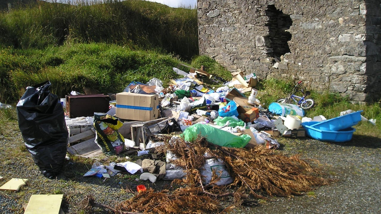 88% say illegal dumping is a 'moderate or serious' problem in Galway