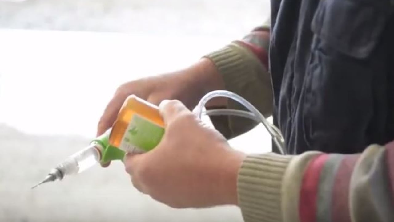 6 reasons why you should use an injection to worm your dairy cows