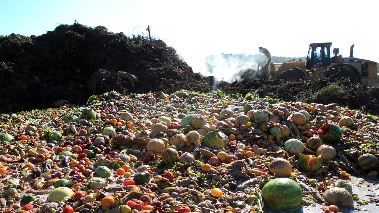 €290,000 allocated to initiatives aimed at reducing food waste