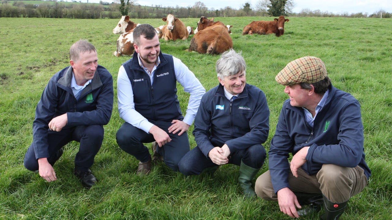 L-R: Bernard Ging Irish Grassland Association President, TJ Duffy MSD Animal Health, Liam Egan Mullinahone Co-Op and Tom Halpin, host farmer