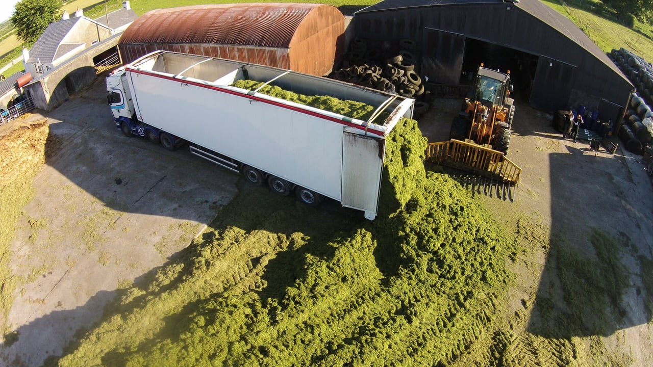 Source: Conor Ryan / Galway Agri Videos