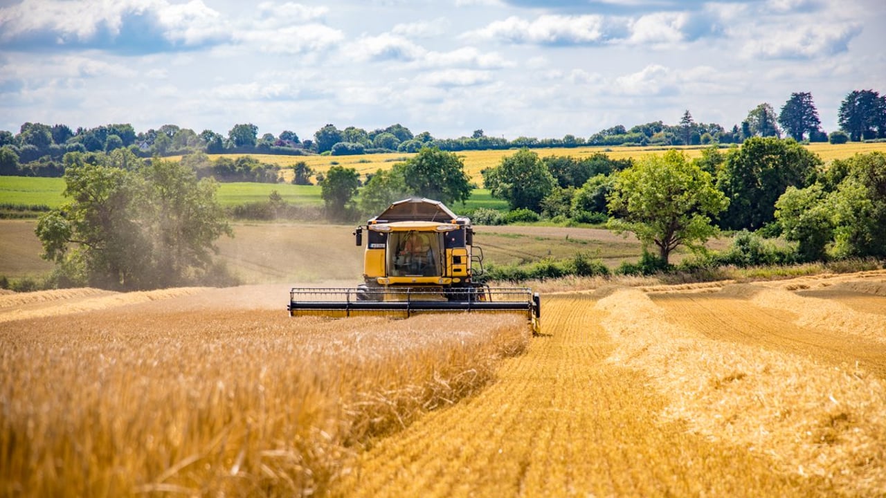 Few winter barley crops hit 4t/ac in the midlands and south