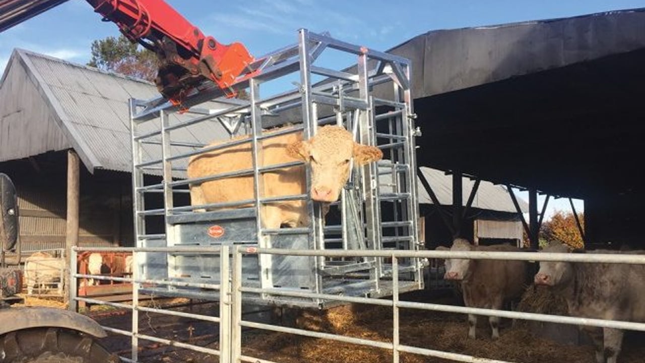 Pics: Could this portable frame make suckler calving a lot easier?