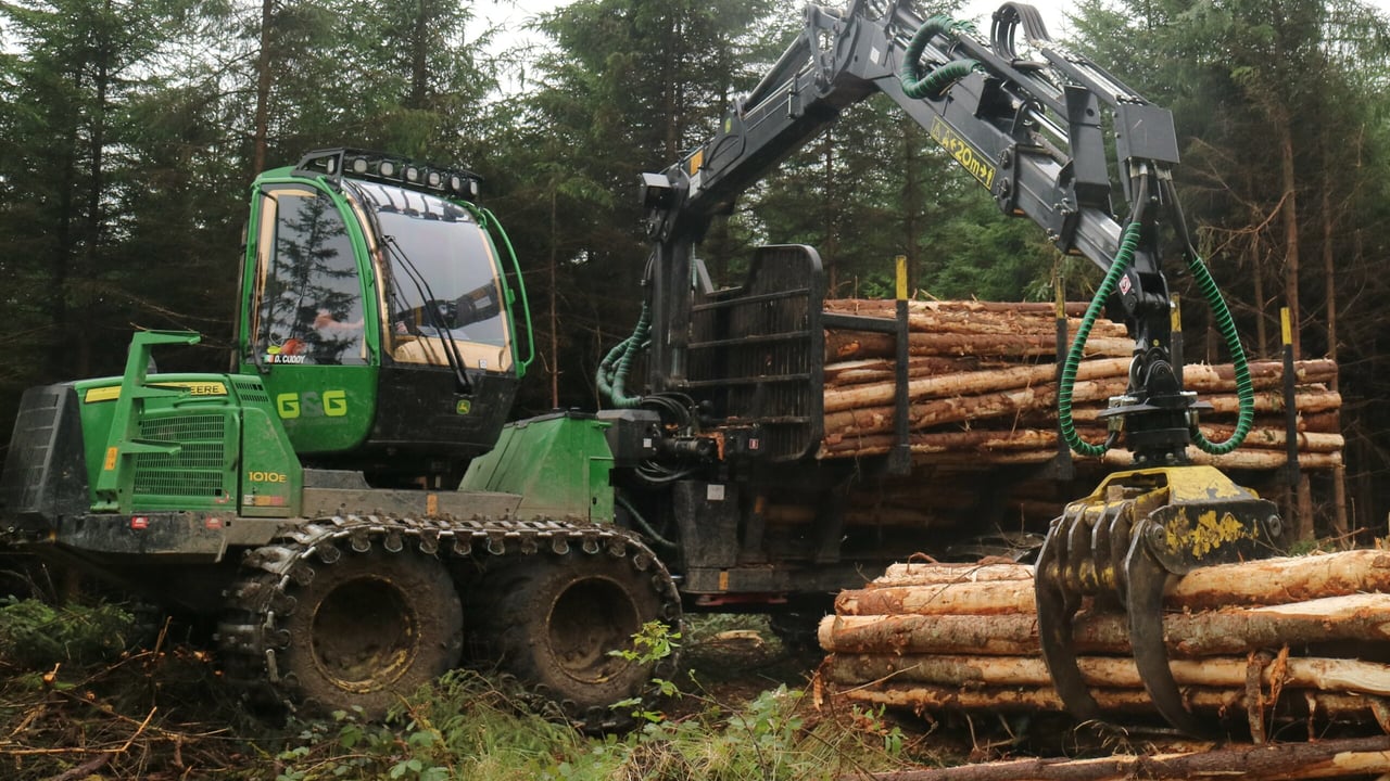 Forestry licencing and appeals to align with planning process - Hackett