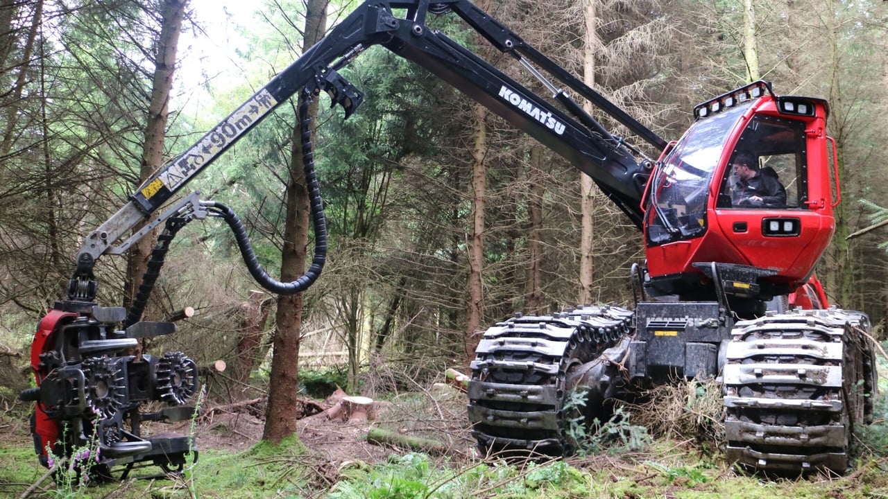 Hackett: 4,700 forest licence applications currently in system