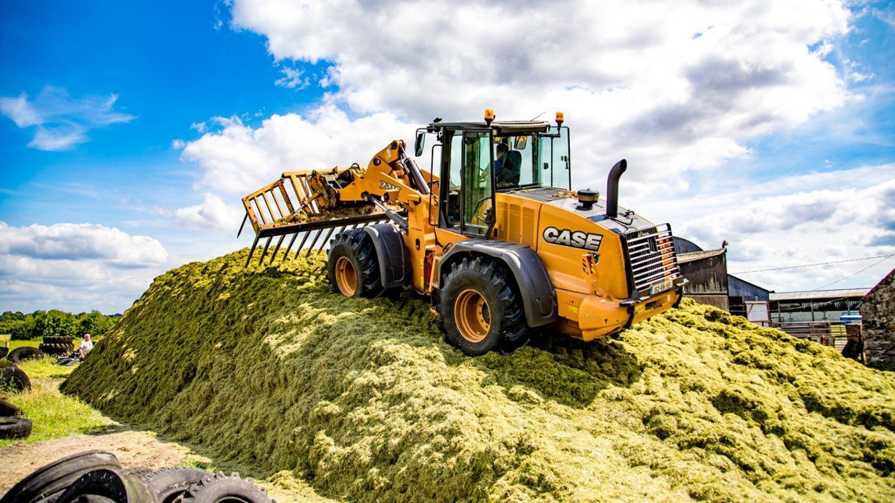 Fodder census announced for July 1