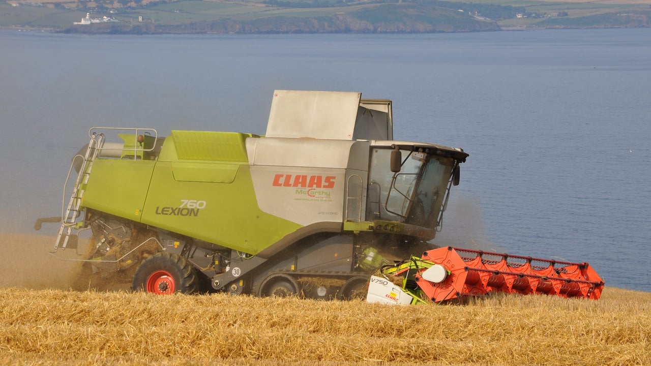 Winter barley - a tale of rotation in the south-east