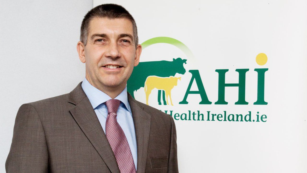 Dr. David Graham has been appointed the new CEO of AHI