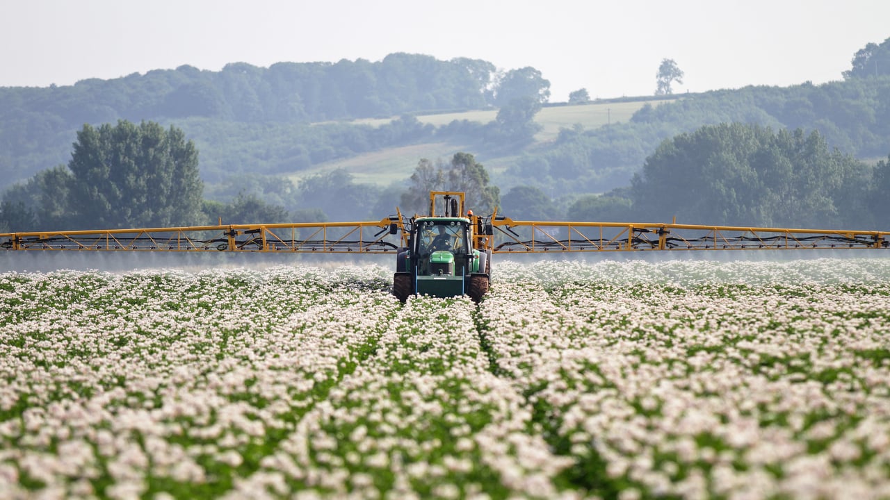 Met Éireann advises potato growers of blight risk