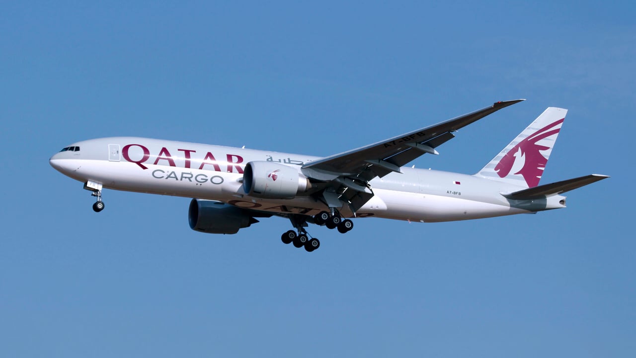 First consignment of 165 dairy cows flown into Qatar