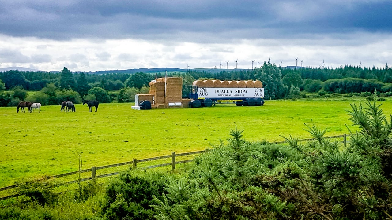 Dualla Show puts spotlight on cattle classes