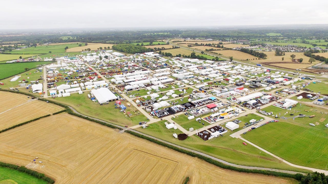 Ploughing Championships to showcase 'Tinder' for bulls