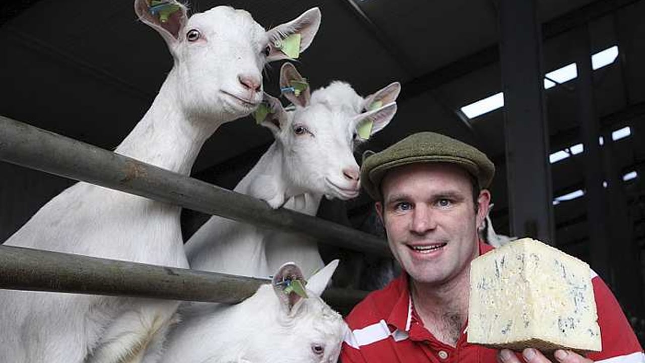 Awards roll in for Meath farmer's cheese enterprise